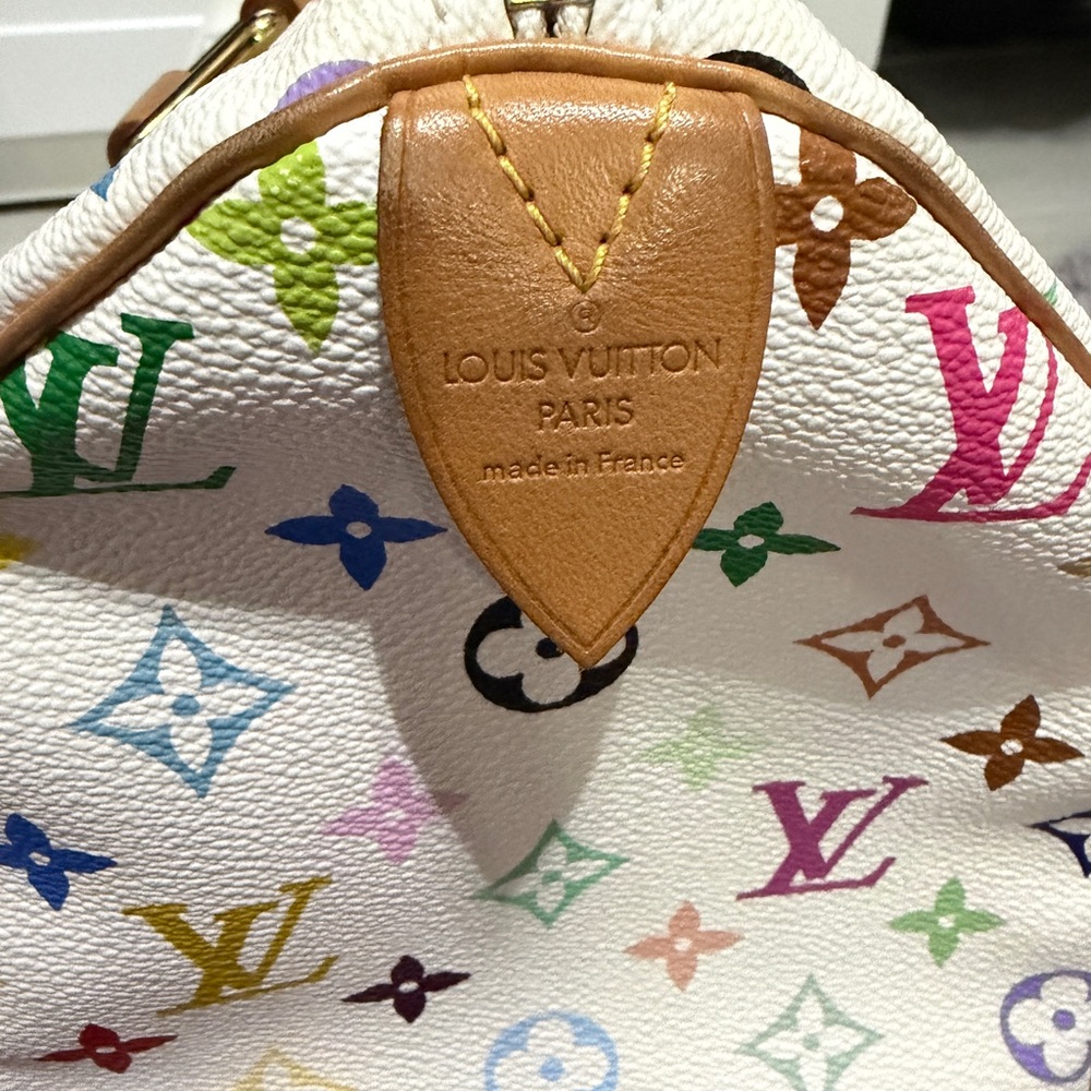Louis Vuitton Multicolor Speedy 30 - Picture 5 of 17